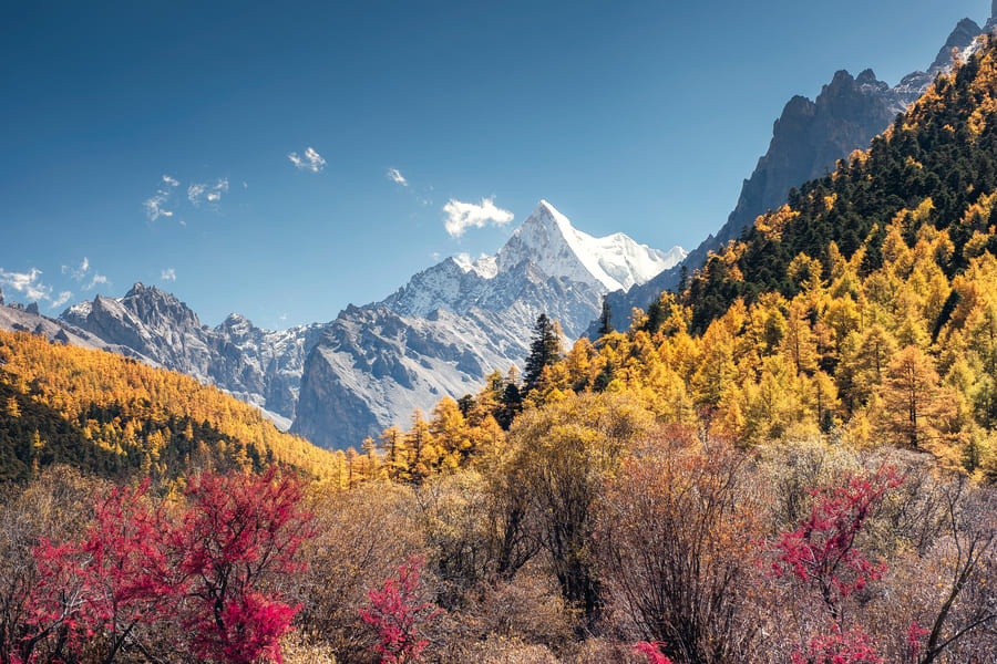 Paisaje nevado con una montaña al fondo en un día en shangrila